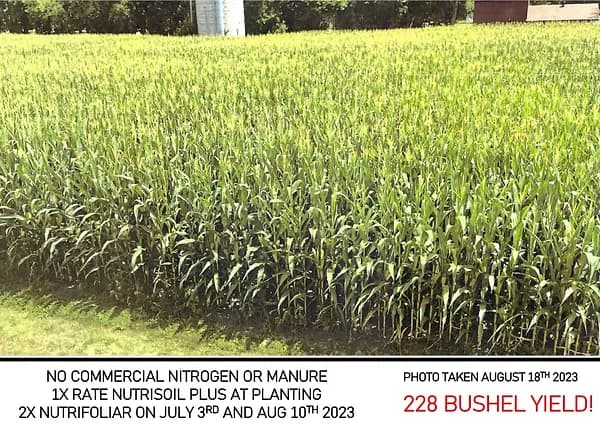 Tall green corn field with a caption reporting a 228 bushel yield